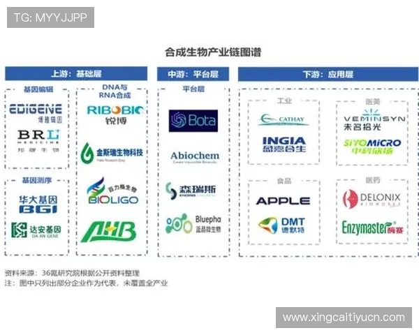 手机买球网址的最新趋势与发展动态，了解行业变化把握投注先机