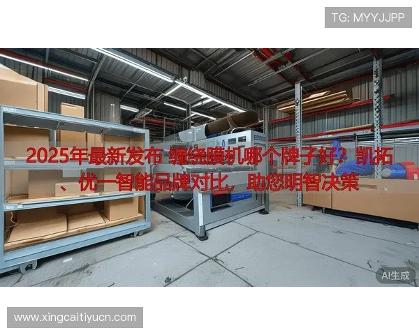 PA体育器材的品牌比较与性价比分析助您做出明智购买决策