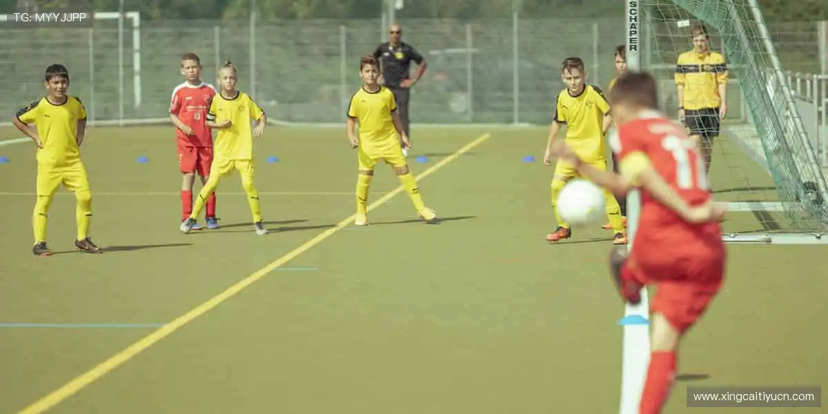 博彩技巧策略分享：大神分享实战经验，助您提高胜率